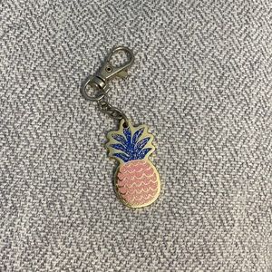 Multicolor Pineapple Hobby Lobby Keychain